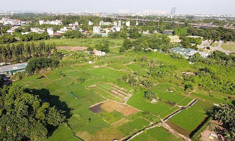 Quy định về đòi lại đất như thế nào?