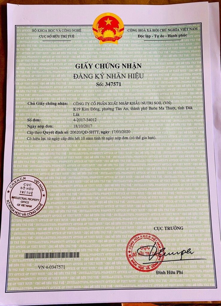 Mẫu giấy chứng nhận đăng ký nhãn hiệu Việt Nam