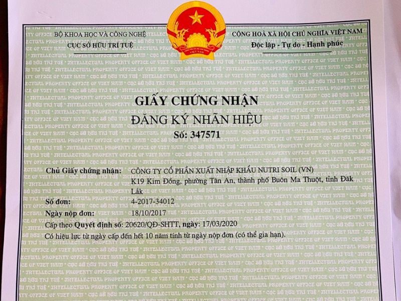 Cách đăng ký bộ nhận diện thương hiệu 
