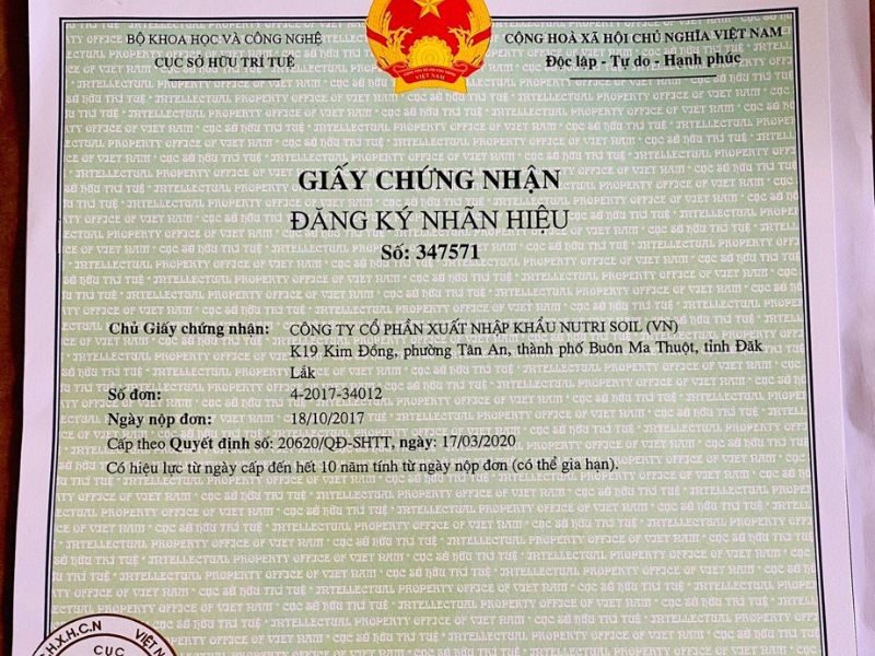 Mẫu đơn đăng ký sở hữu trí tuệ