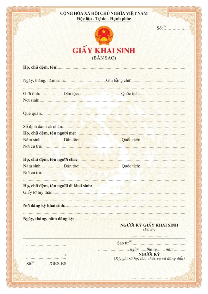 Trích lục khai sinh có phải là bản sao?