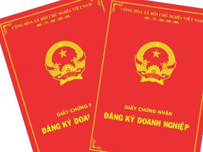 Thông tin xác nhận tra cứu số đăng ký kinh doanh chính thức từ cơ quan nhà nước nào?
